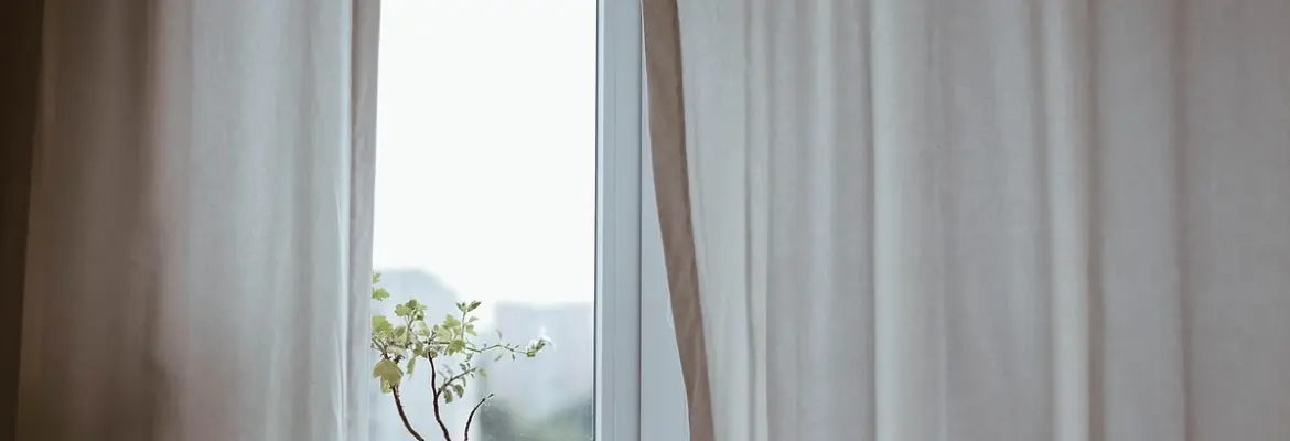5 Steps to Revive a Stressed Indoor Plant Close to Death
