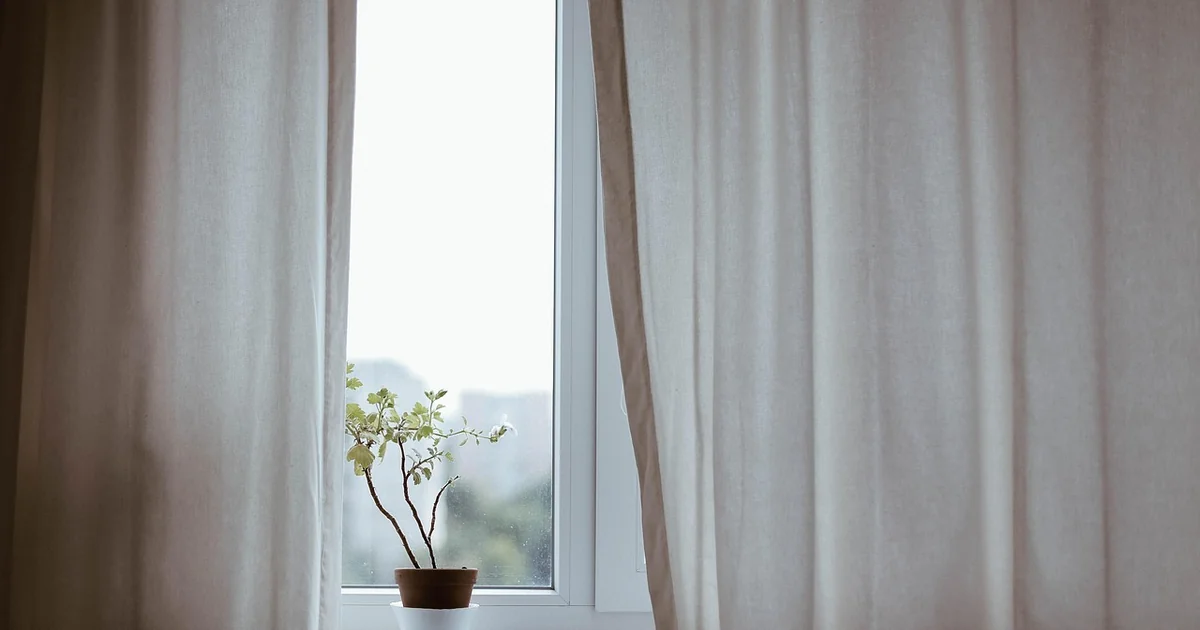 Revive dying indoor plant