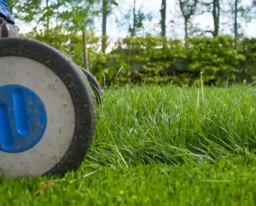 Extension Notes: 7 Summer Maintenance Tips for Vegetables
