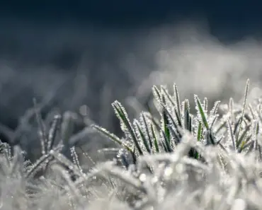 Succession Planting Guide: 7 Crops to Grow Before Frost