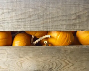 7 Best Vegetables for Containers in Late Summer and Fall