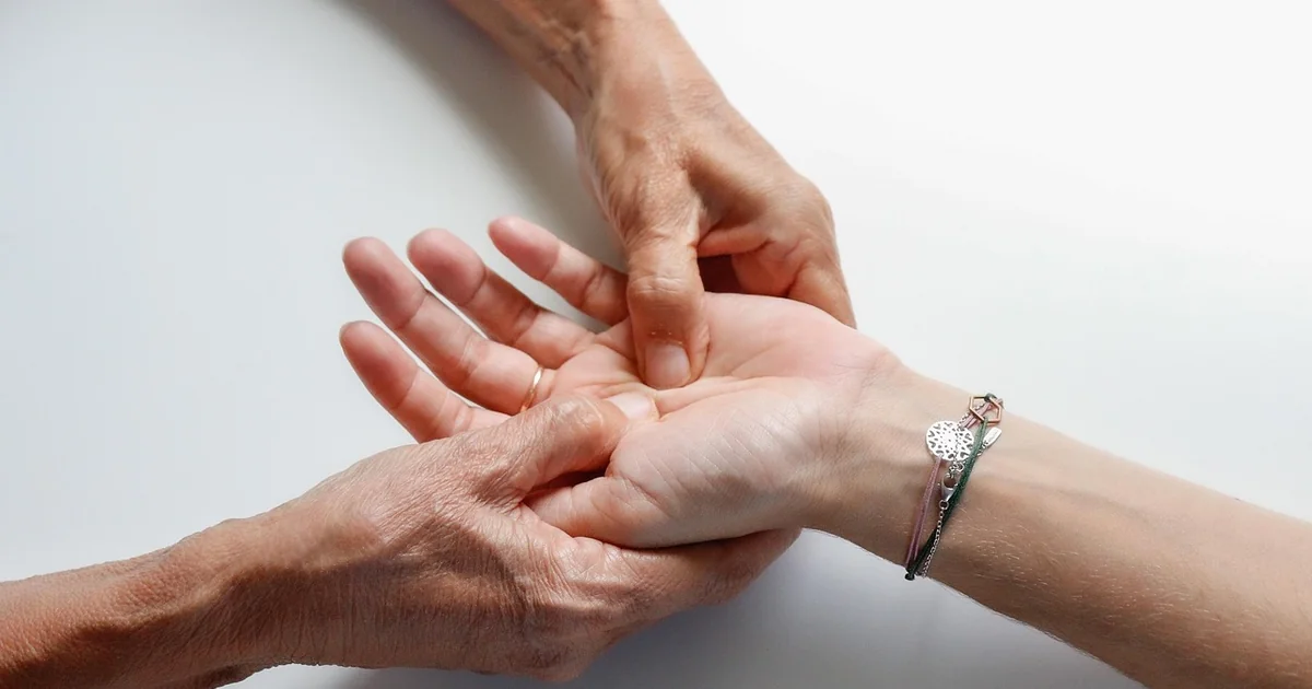 Indoor palm care